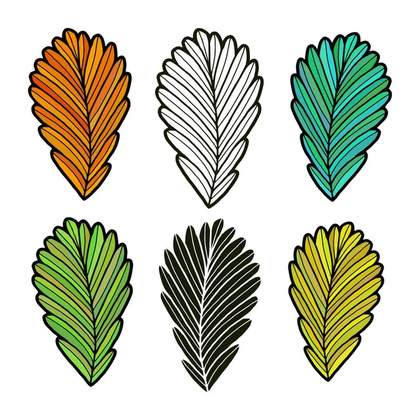 Leaves Vector Illustration Autumn Leaves Collection Isolated Fall Set — Stock Vector