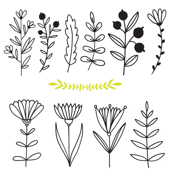 花と枝手描きの自然コレクション 花柄プリント グリーティングカードデザイン 装飾的な花のスケッチ — ストックベクタ
