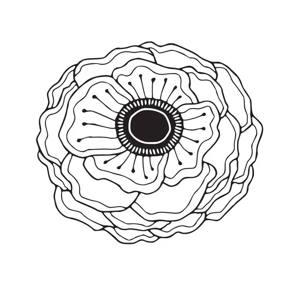 Illustrazione Dei Fiori Anemone Linea Fiori Art Fiore Minimalista Anemone — Vettoriale Stock