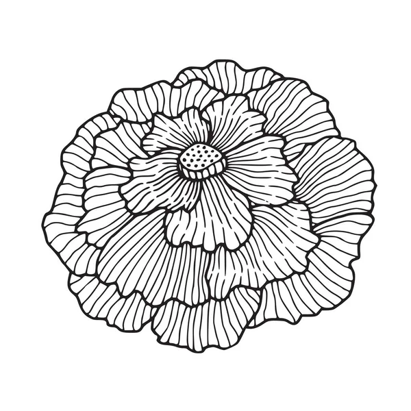 Linea Fiori Art Illustrazione Floreale Del Tatuaggio Fiore Peonia Minimalista — Vettoriale Stock