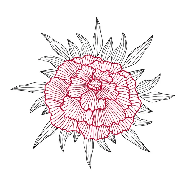 Illustrazione Dei Fiori Peonia Linea Fiori Art Design Stampa Fiore — Vettoriale Stock