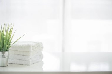 Havlu ve houseplant kopya alanı ile beyaz tabloda. Ürün görüntü montaj için.