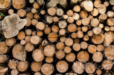 Doku - Odun Yığını 