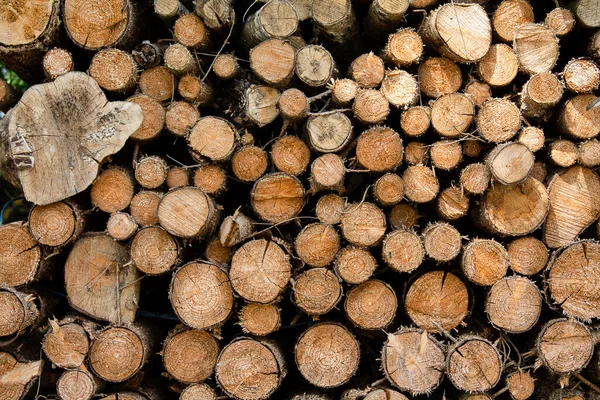 Doku - Odun Yığını 