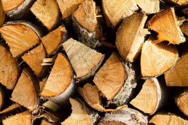 Doku - Odun Yığını 