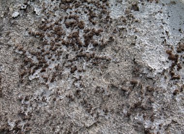 Yosun kaplı eski bir taş duvarın dokusu..