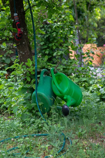 Garden Hose Spray Nozzle Two Watering Cans Apple Tree — Stock Photo, Image