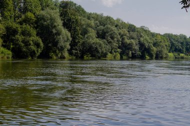 Neredeyse doğal ormanı olan bir nehirde huzurlu bir gün..