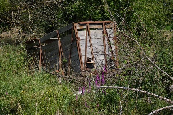 Old Animal Transporter Stands Meadow Overgrown — Stock Photo, Image