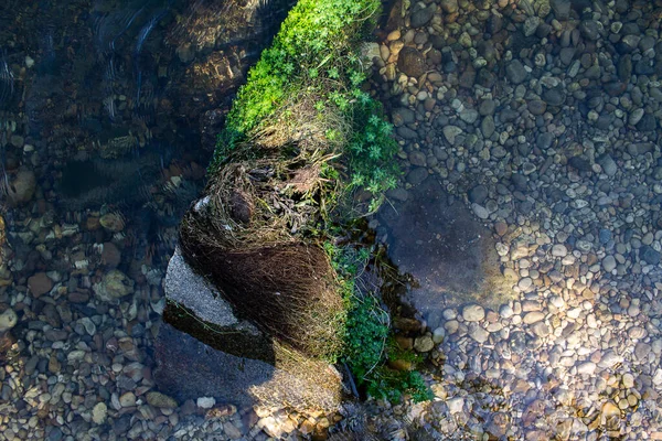 Текстура Речной Гальки Водой Выброшенной Уткой — стоковое фото