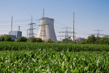 Sağdaki soğutma kulesi ortadaki reaktör kubbesi ve soldaki makine dairesinin arkasında nükleer santralin buhar türbinleri var..