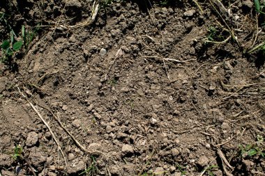Kuru ekilebilir toprak dokusu. Her şey kuru..