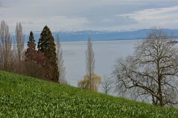 Vue Une Prairie Sur Lac Walserkamm — Photo