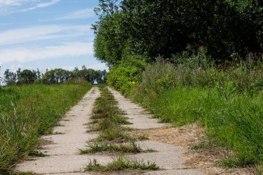 Beton levhalarla döşenmiş olağandışı toprak yol. Solda bir tarla, sağda bir orman..