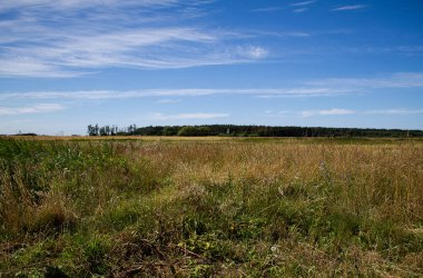 Avcı direğiyle manzara. Ön planda vahşi bir çayır var. Bir orman görünüyor..