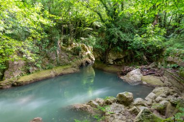 Doğanın ortasındaki bataklık şelalelerinden gelen kara nehir.