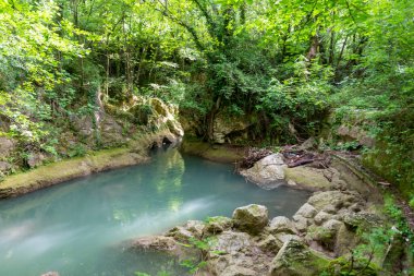 Doğanın ortasındaki bataklık şelalelerinden gelen kara nehir.