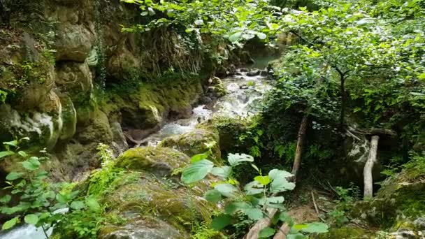 Rivière noire qui vient de la marmore cascades — Video