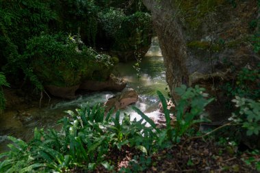 Marmore di Terni 'nin şelalesi Avrupa' nın en yüksek şelalesi ve cennet manzarası.