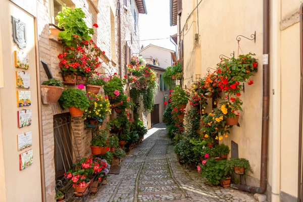 Spello Italia Junio 2020 Callejuelas Espelta Decoradas Con Plantas Flores — Foto de Stock