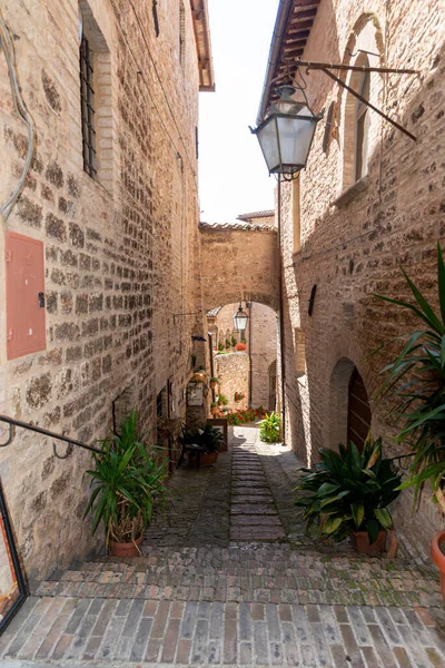 Spello Giugno 2020 Architettura Nei Vicoli Del Comune Spello — Foto Stock