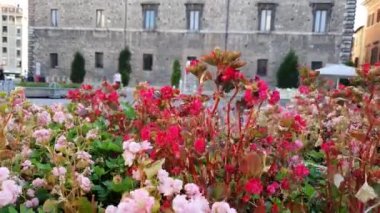 Terni ve belediye meydanı