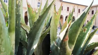 Şehrin tarihi kesimindeki Terni Katedrali