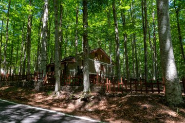 Siena 'nın Monte Amiata bölgesinde yıl boyunca kiralık ahşap kulübeler.