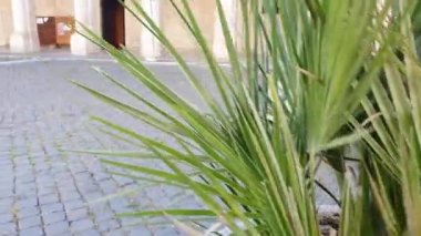 Terni, İtalya Ağustos 04: 20: chiesa del duomo di terni nella parte storica