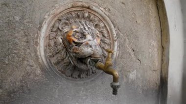 Kafası aslan şeklinde olan çeşme.