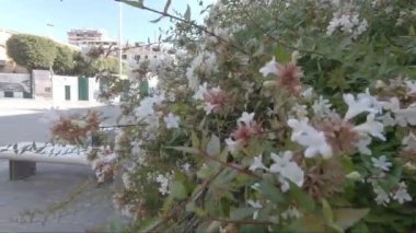 Tacito di Terni Meydanı ve Çeşme