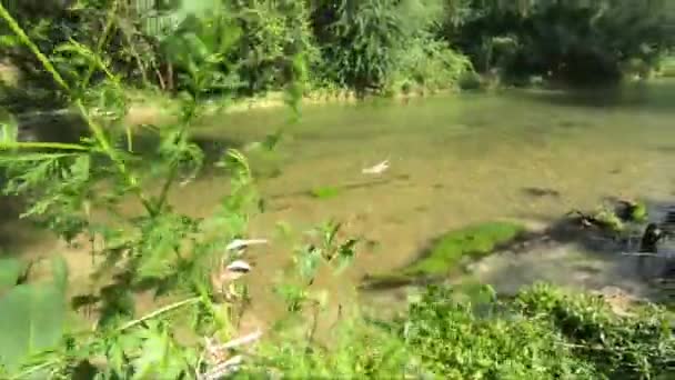 Polymerdamm Schwarzer Fluss, der auf dem Polymerdamm in der Provinz Terni fließt — Stockvideo