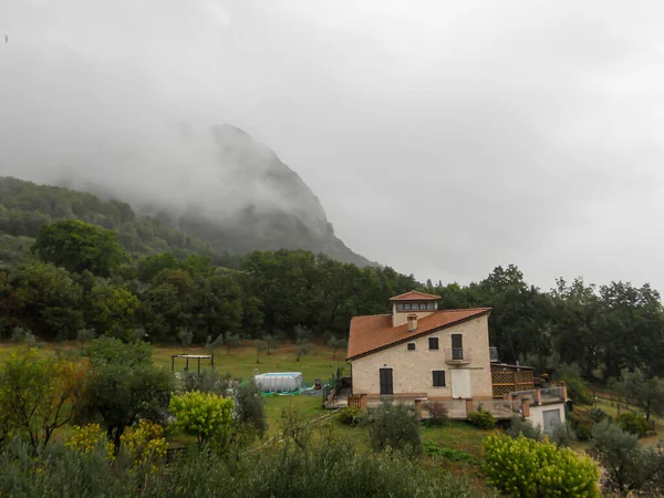 Landschap Tijdens Een Regenachtige Dag Met Mist — Stockfoto