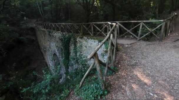 Olaszország Földrajzi Központja Narni Található Erdőben — Stock videók