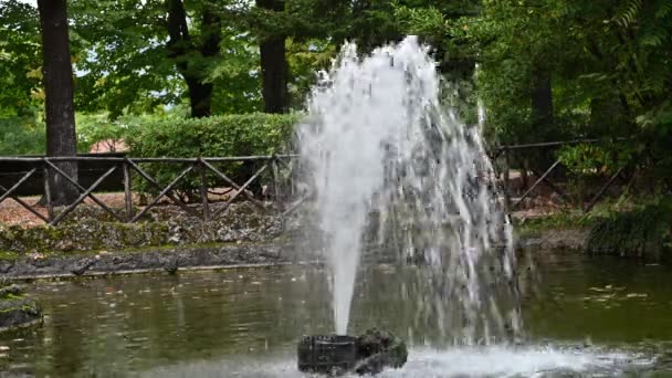 Wasserstrahl am See der Promenade — Stockvideo