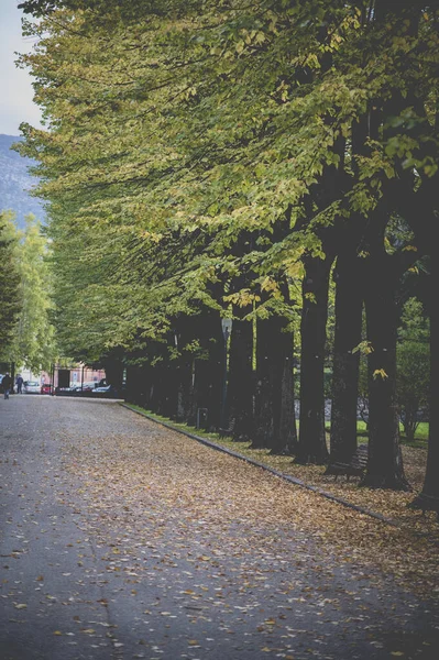 Hösten Kommer Till Parken Staden Terni — Stockfoto