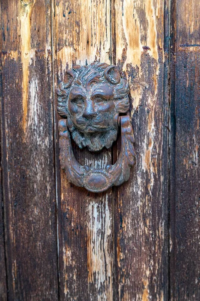 古いドアのライオンの形をしたヴィンテージドアのノッカー — ストック写真