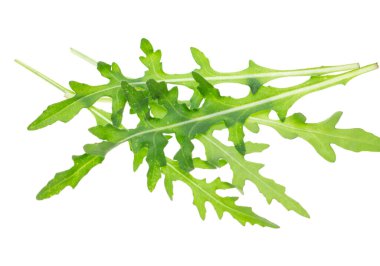 Beyaz arka planda taze marul yaprakları