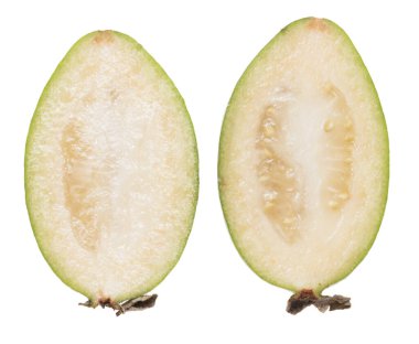 feijoa beyaz arkaplanda