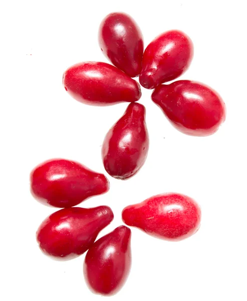 Berries Dogwood White Background — Stock Photo, Image