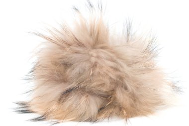 Beyaz arkaplanda kahverengi kürk