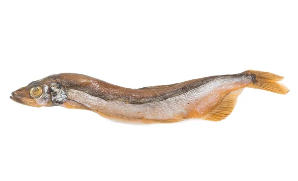 연기를 머금은 물고기의 — 스톡 사진