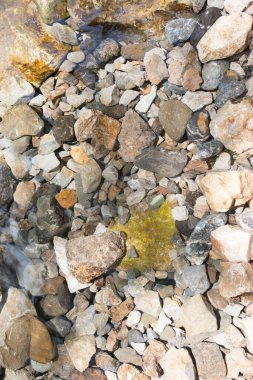 arkaplan olarak cilt üzerindeki doğum lekesi