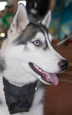 Siyah arkaplanda ateş kıvılcımları