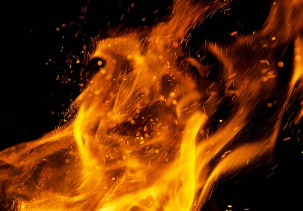 Eld Lågor Med Gnistor Svart Bakgrund — Stockfoto