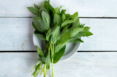 Ahşap arka planda taze nane. Taze mahsul