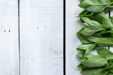 Ahşap arka planda taze nane. Taze mahsul. Metnin için boşluk