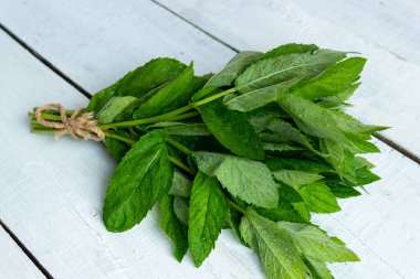 Ahşap arka planda taze nane. Taze mahsul