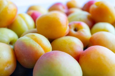 Taze kayısılar yığının içinde yatıyor. Taze mahsul. Harika bir arka plan