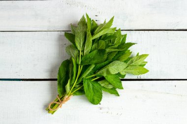 Ahşap arka planda taze nane. Nane Bitkisi.